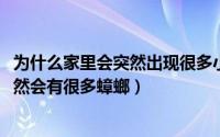 为什么家里会突然出现很多小蟑螂（10月08日家里为什么突然会有很多蟑螂）