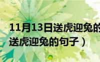 11月13日送虎迎兔的句子是什么（11月13日送虎迎兔的句子）