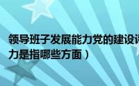 领导班子发展能力党的建设评价（10月08日领导班子发展能力是指哪些方面）