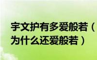 宇文护有多爱般若（11月12日宇文护有妻子为什么还爱般若）