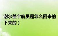 谢尔盖宇航员是怎么回来的（11月13日谢尔盖宇航员是谁救下来的）