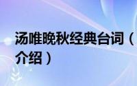 汤唯晚秋经典台词（11月13日汤唯晚秋电影介绍）