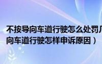 不按导向车道行驶怎么处罚几天来短信息（11月13日不按导向车道行驶怎样申诉原因）