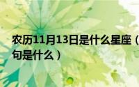 农历11月13日是什么星座（11月13日犹抱琵琶半遮面的下句是什么）