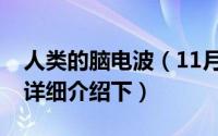 人类的脑电波（11月13日人脑的四种脑电波详细介绍下）