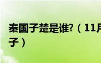 秦国子楚是谁?（11月13日秦国子楚是谁的儿子）