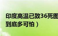 印度高温已致36死图片（11月13日印度高温到底多可怕）