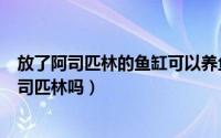 放了阿司匹林的鱼缸可以养鱼吗?（11月13日鱼缸里能放阿司匹林吗）