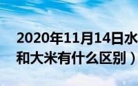 2020年11月14日水稻价格（11月13日水稻和大米有什么区别）