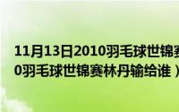 11月13日2010羽毛球世锦赛林丹输给谁了（11月13日2010羽毛球世锦赛林丹输给谁）