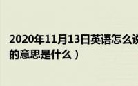 2020年11月13日英语怎么说（11月13日driveaway最准确的意思是什么）