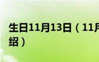 生日11月13日（11月13日人生路剧情详细介绍）