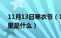 11月13日寒衣节（11月13日puppy在圈子里是什么）