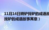 11月14日骑驴找驴的成语故事寓意是什么（11月14日骑驴找驴的成语故事寓意）