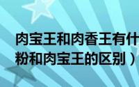 肉宝王和肉香王有什么区别（10月08日肉香粉和肉宝王的区别）