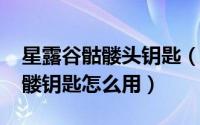 星露谷骷髅头钥匙（11月14日星露谷物语骷髅钥匙怎么用）