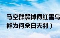 马空群解掉傅红雪乌云制度（10月08日马空群为何杀白天羽）