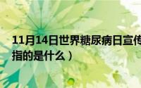 11月14日世界糖尿病日宣传主题（11月14日普通金属桥架指的是什么）