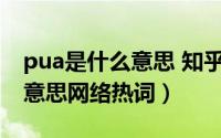 pua是什么意思 知乎（11月14日pua是什么意思网络热词）