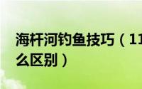 海杆河钓鱼技巧（11月14日海杆和河杆有什么区别）