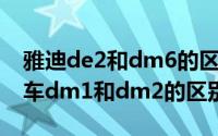 雅迪de2和dm6的区别（11月14日雅迪电动车dm1和dm2的区别）