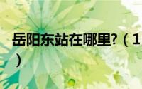 岳阳东站在哪里?（11月14日岳阳东站的介绍）