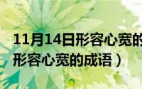 11月14日形容心宽的成语是什么（11月14日形容心宽的成语）