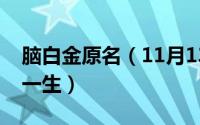 脑白金原名（11月13日脑白金创始人的传奇一生）