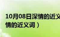 10月08日深情的近义词是什么（10月08日深情的近义词）