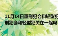 11月14日重刑犯会和轻型犯关在一起吗视频（11月14日重刑犯会和轻型犯关在一起吗）