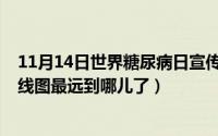 11月14日世界糖尿病日宣传主题（11月14日郑和下西洋路线图最远到哪儿了）