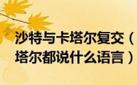 沙特与卡塔尔复交（10月08日阿联酋沙特卡塔尔都说什么语言）