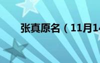 张真原名（11月14日张真真扮演者）