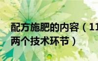 配方施肥的内容（11月14日配方施肥包括哪两个技术环节）