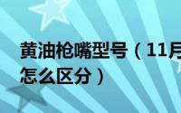 黄油枪嘴型号（11月14日黄油枪嘴尺寸规格怎么区分）