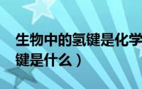 生物中的氢键是化学键吗（11月14日生物氢键是什么）