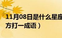 11月08日是什么星座（10月08日最遥远的地方打一成语）