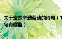 关于蜜蜂辛勤劳动的诗句（10月08日赞美蜜蜂辛勤劳动的诗句有哪些）