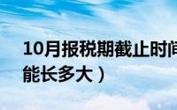 10月报税期截止时间2023（10月08日麻蜥能长多大）