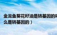 金龙鱼葵花籽油是转基因的吗（11月15日金龙鱼大豆油为什么是转基因的）