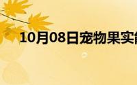 10月08日宠物果实能力者布雷德的下场