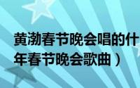 黄渤春节晚会唱的什么歌（11月15日黄渤14年春节晚会歌曲）