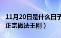 11月20日是什么日子（11月15日青椒皮蛋的正宗做法王刚）