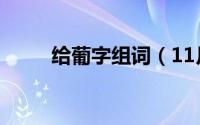 给葡字组词（11月15日葡的组词）