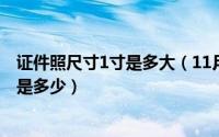 证件照尺寸1寸是多大（11月15日证件上一寸照片高宽尺寸是多少）