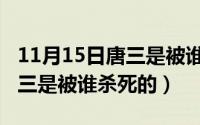 11月15日唐三是被谁杀死的呢（11月15日唐三是被谁杀死的）