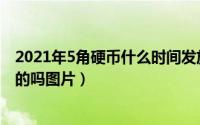 2021年5角硬币什么时间发放了（11月15日5角硬币有白色的吗图片）