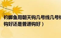 钓鲫鱼用朝天钩几号线几号钩最好（10月08日钓鲫鱼用朝天钩好还是普通钩好）