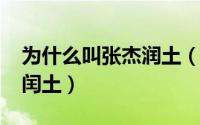 为什么叫张杰润土（11月15日为什么叫张杰闰土）