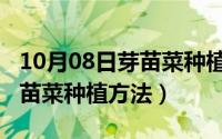 10月08日芽苗菜种植方法视频（10月08日芽苗菜种植方法）